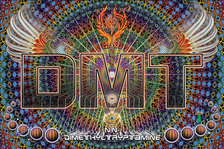 dmt.jpg