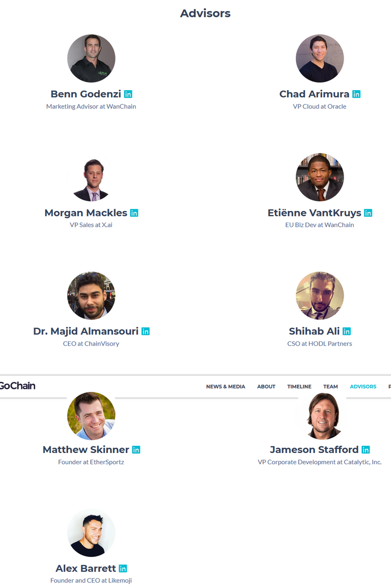 gochain advisors.png