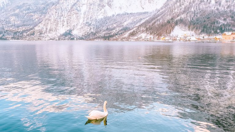 hallstat_in_winter2.jpg