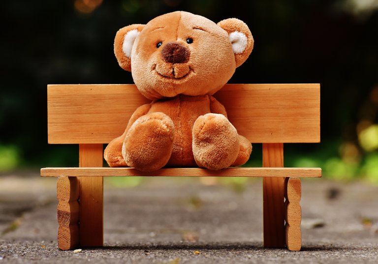 bear-bench-blur-207906.jpg