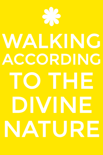 We-can-experience-walking-on-the-golden-street-of-the-New-Jerusalem-by-walking-a.png