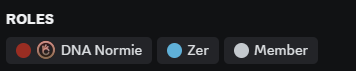 zerion discord role 12.png