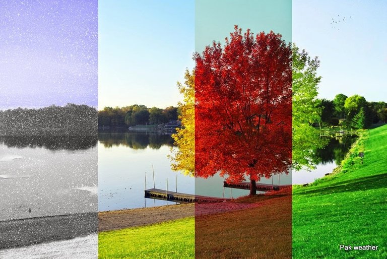 four_seasons.jpg