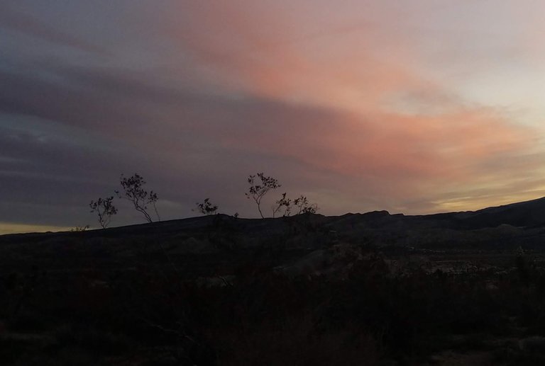 20190328_063955.jpg