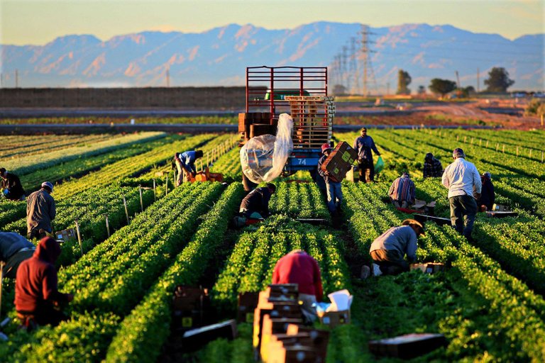 farm-workers-from-vmst.jpg