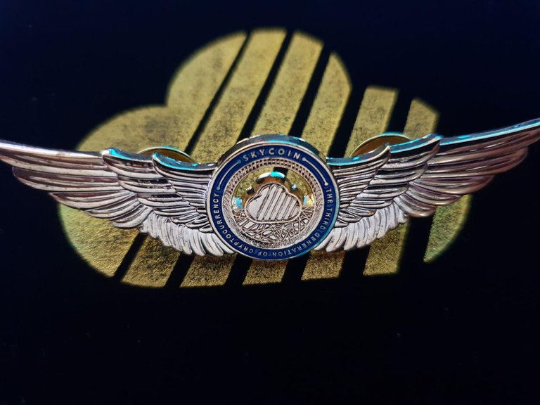 Skyfleet_badge_1296x.jpg