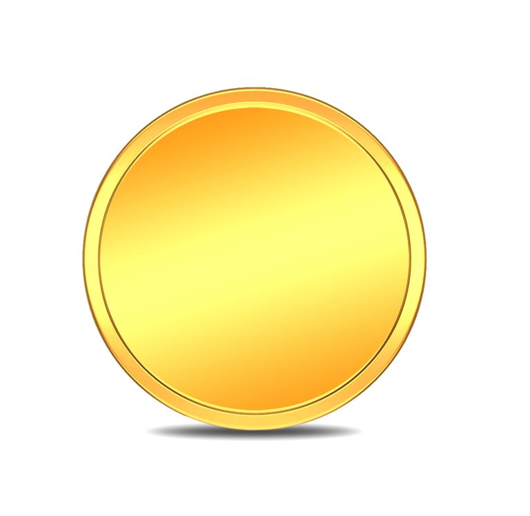 plain_coin_2_2.jpg