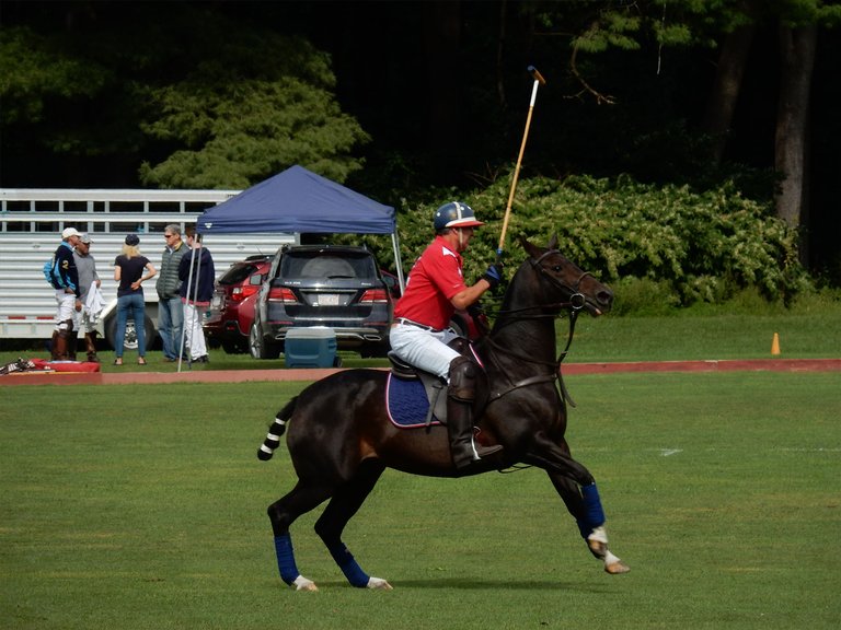 polo7.jpg