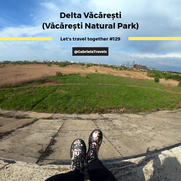 Let's travel together #129 - Delta Văcărești (Văcărești Natural Park)