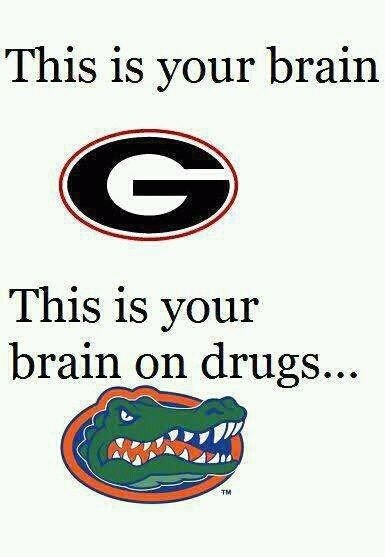 godawgs.jpg