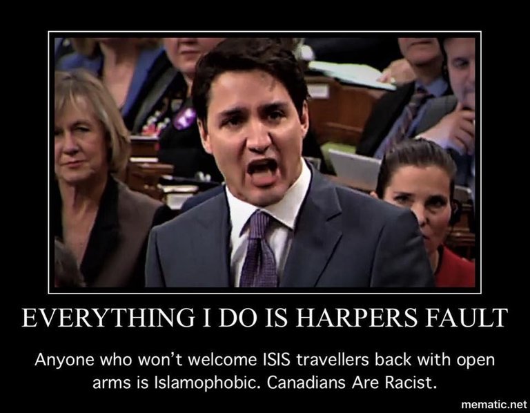 harper's fault.jpeg