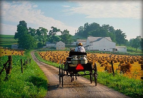 Amish milk delivery.jpg