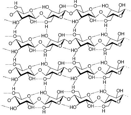 Cellulose_strand.jpg