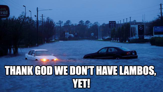 FloodCars1.jpg