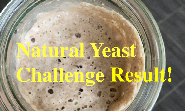 Natural Yeast Challenge Result