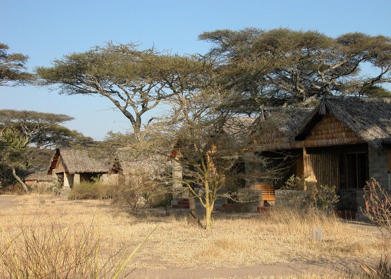 ndutu-safari-lodge-tanzania.jpg