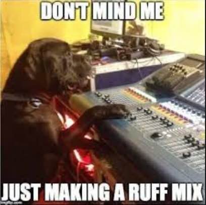 ruff mix.jpg