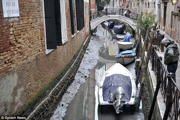 venice2.jpg