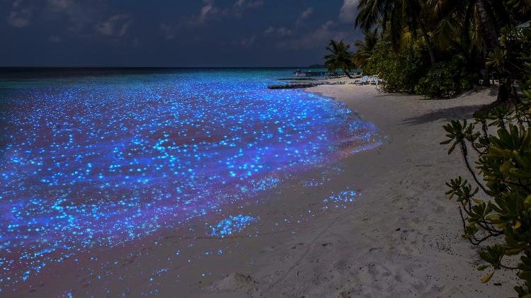 fenomeno-de-bioluminescencia-e-atracao-turistica-nas-maldivas-1526051308162_v2_750x421.jpg