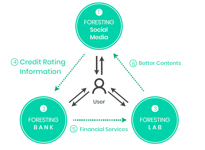 foresting network FFF.png