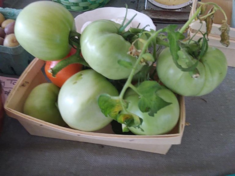 garden 6.12.18 tomatoes from the vine.jpg