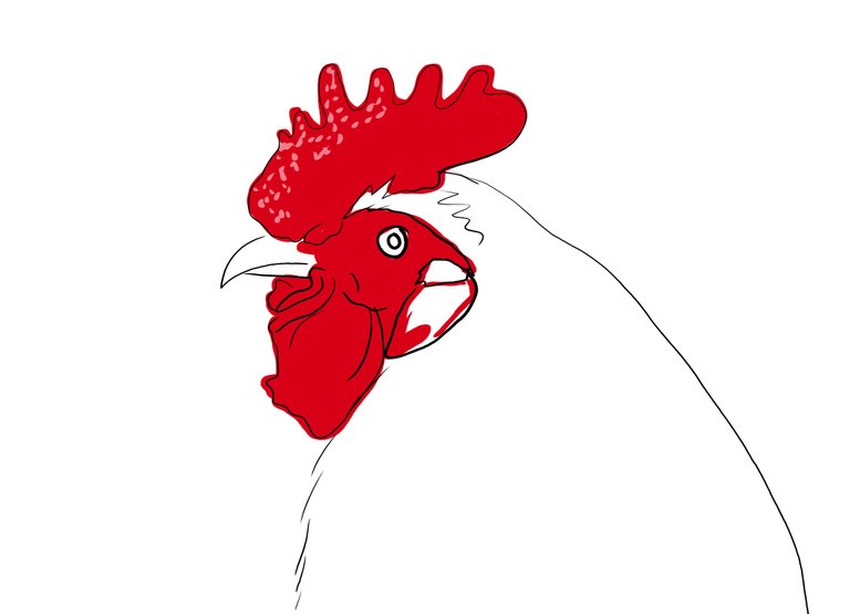 rooster(571).jpg