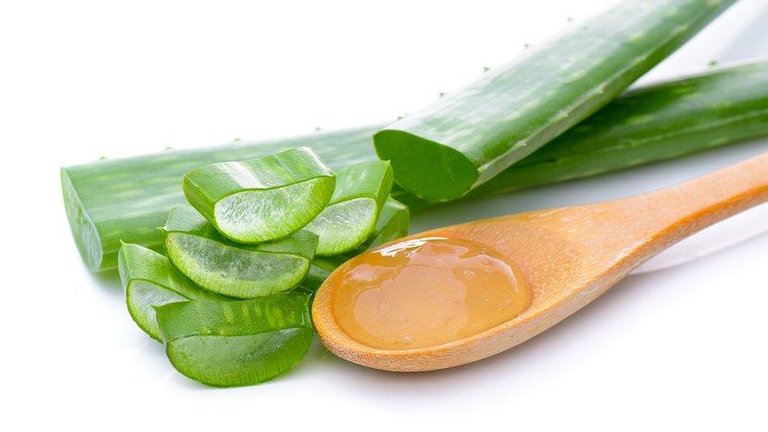 your-expert-guide-to-aloe-vera-header-v2-830x467.jpg