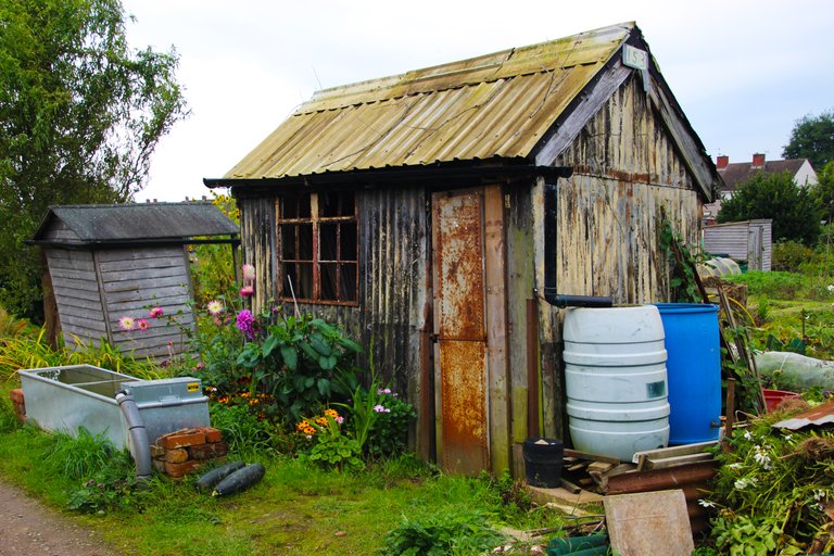 allotment shed.JPG