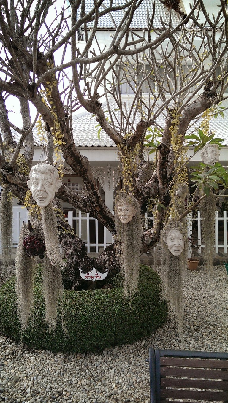 Heads In Tree.jpg