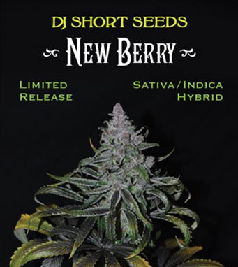 New Berry Seed Package.jpg