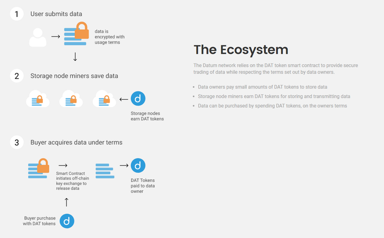 datum ecosystem.png