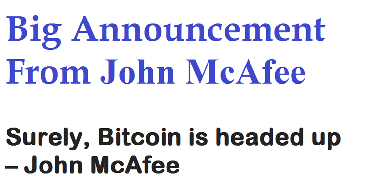 John Mcafee.png