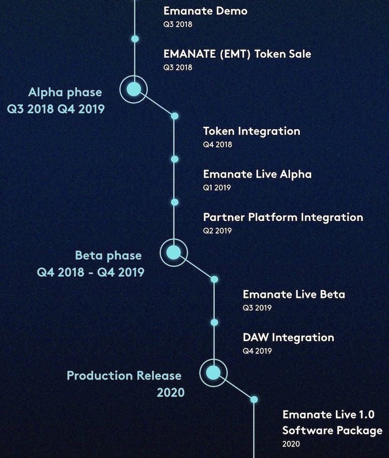 emroadmap.jpg