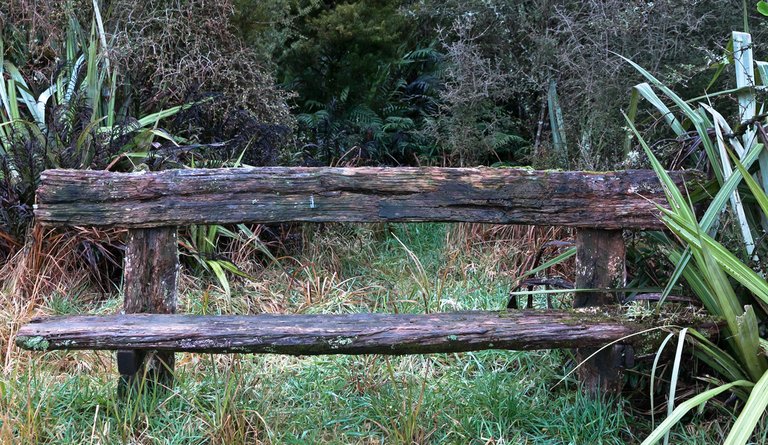 6266495939-lake-mathesonold-bench (FILEminimizer).jpg