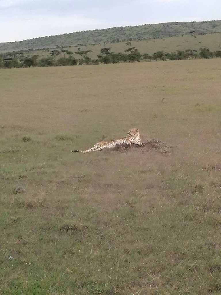 Maasai National Reserve26.jpg