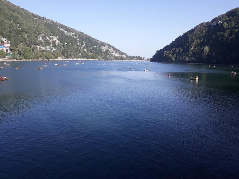 nanital1.jpg