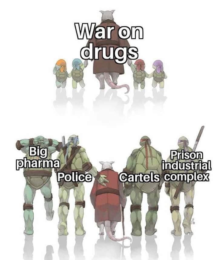 war_on_turtle_drugs.jpg