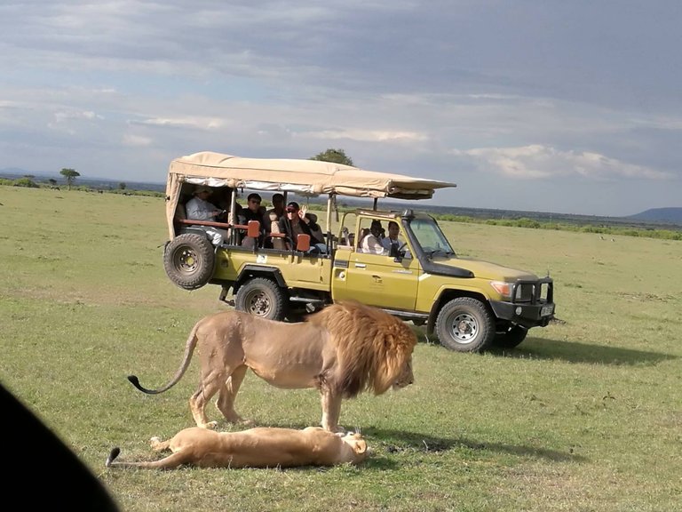 Maasai National Reserve15.jpg