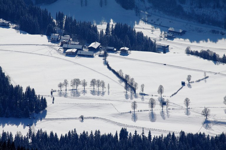 5336341927-baume-und-ihre-schatten-trees-and-shadows.jpg