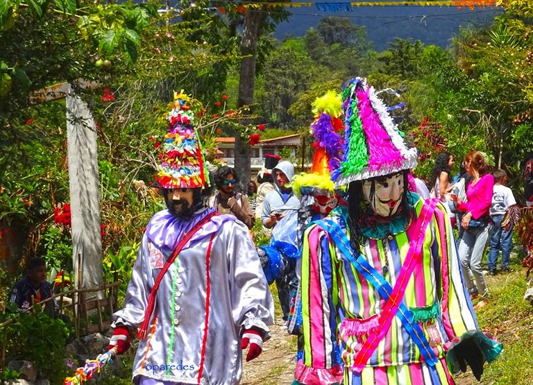 locos de la candelaria.jpg