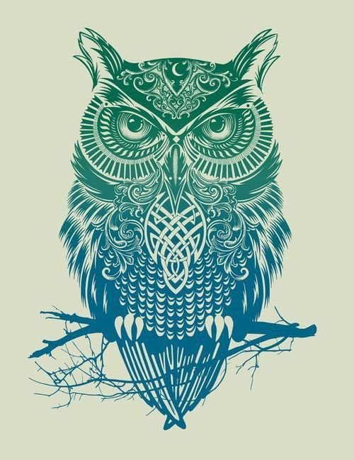 Owl-image.jpg