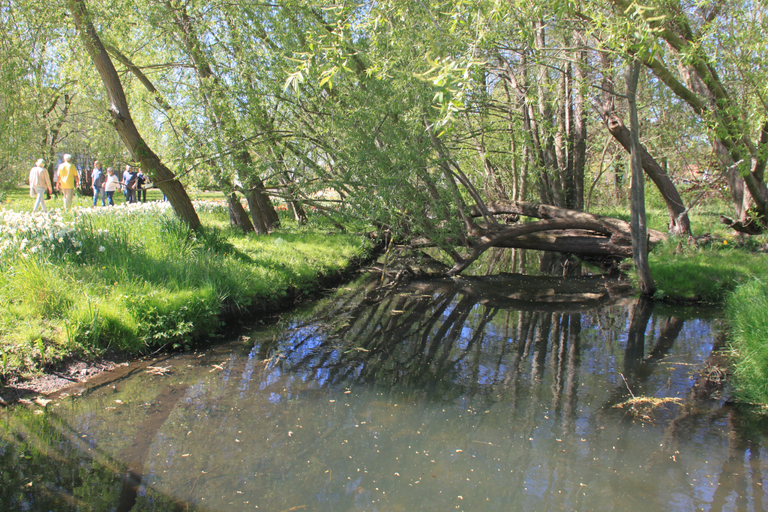 natürlicher Verlauf der Glinze an der Bischhofsburg