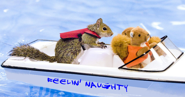 squirrel boat.png