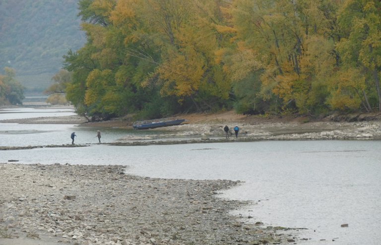 Niedrigwasser_Felsen_10.jpg