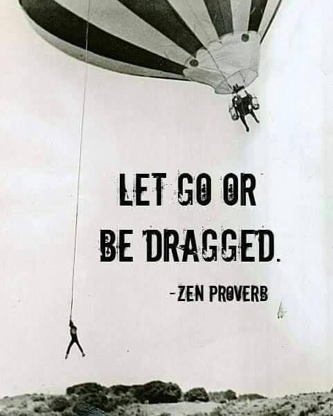 zen proverb let go or be dragged .jpg