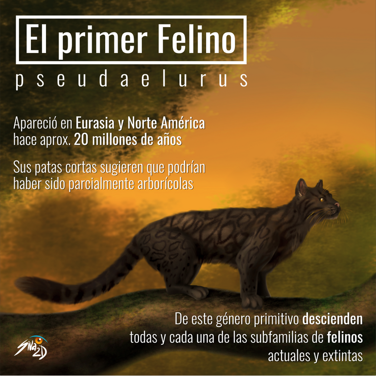 Primer Felino_Still final.png