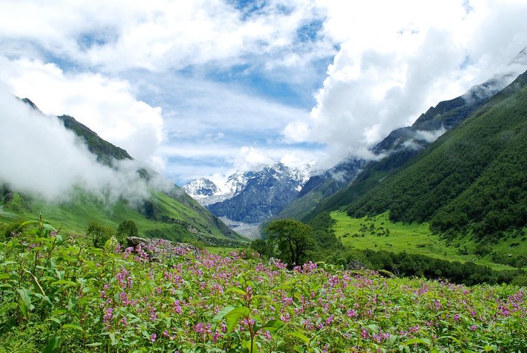 valley-of-flowers-1.jpg