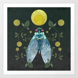 Cicada.jpg