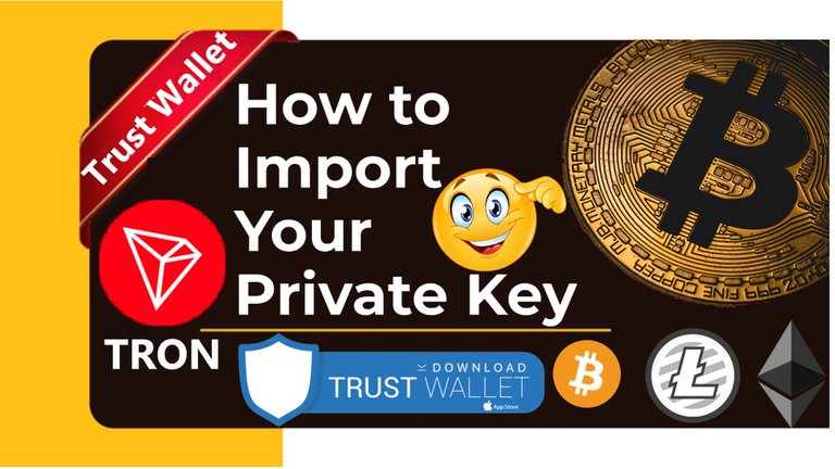 How To Import a Wallet Via Private Key On Trust Wallet By Crypto Wallets Info.jpg