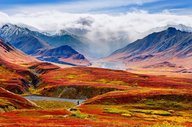 1-Denali-National-Park-BH4FWY-1590x1050.jpg